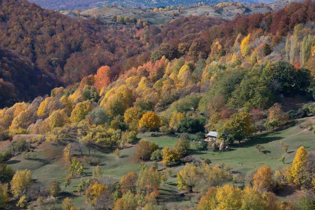Valley View Breaza Экстерьер фото