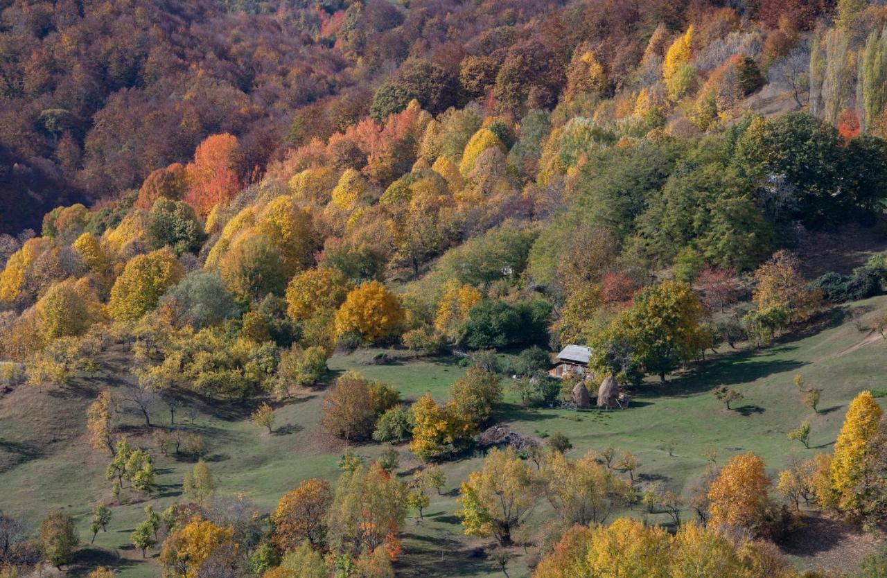 Valley View Breaza Экстерьер фото